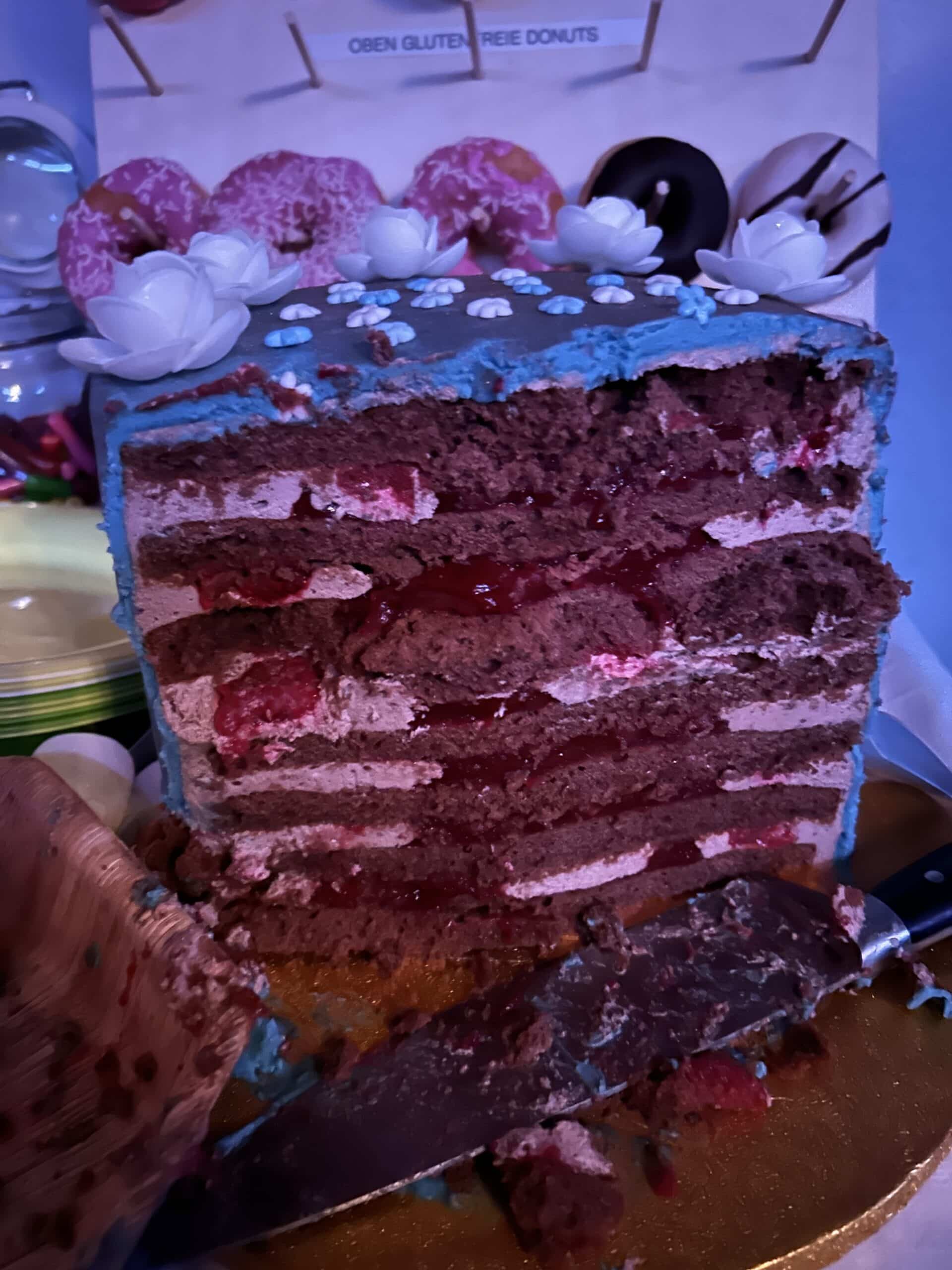 und eine tolle Torte für die Tochter und ihre Freundinnen.