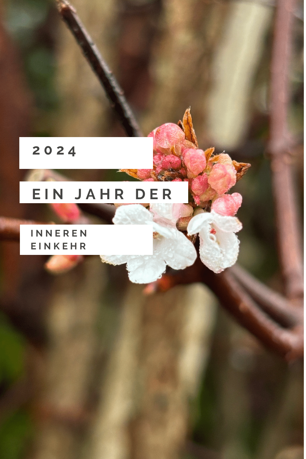 2024 ein Jahr der inneren Einkehr