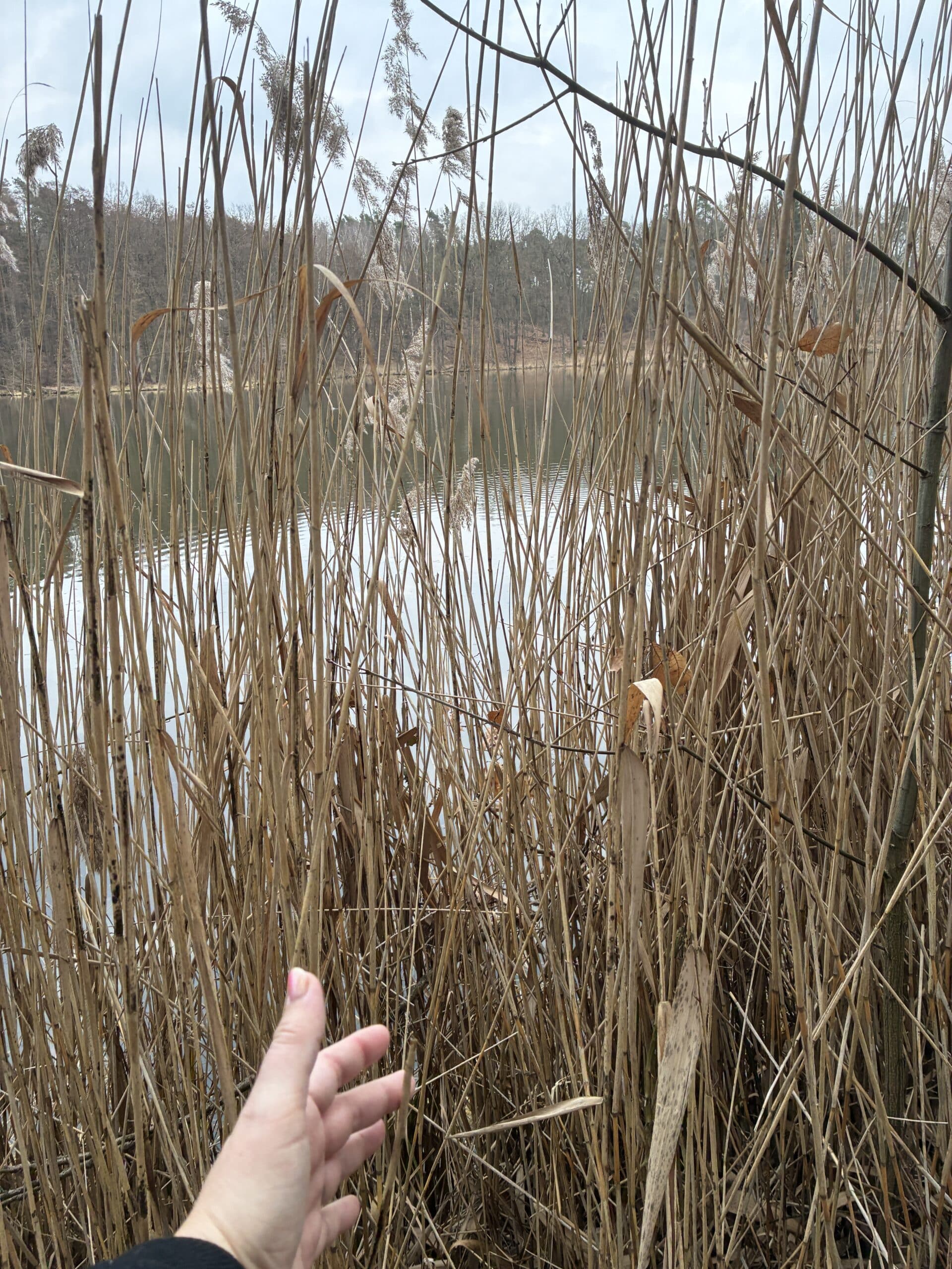 Der See ist heute wunderschön. Es geht eine Runde raus...